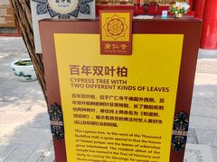 -西安市广仁寺