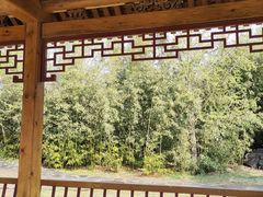 -中国中医科学院望京医院(院本部)