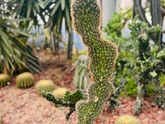 -郑州植物园
