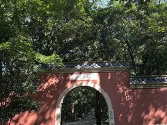 -灵谷景区