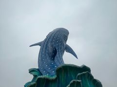 -珠海长隆海洋王国