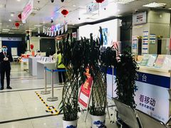 -中国移动(望京营业厅)