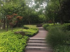 -南翔镇银翔湖公园