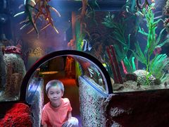 -沈阳海洋探索中心