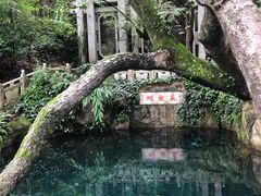 -蝴蝶泉公园
