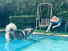 -汪说喵讲宠物乐园宠物酒店(红星美凯龙店)