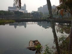 -映月湖公园