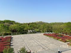 -合肥三国新城遗址公园