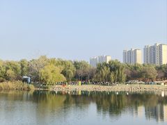 -大兴滨河森林公园