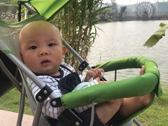 -枫香湖儿童公园