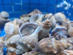 -鼎泰亨·海鲜牛肉餐厅(滨江店)