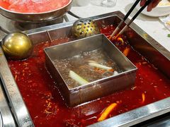 -红鼎坊·老成都火锅(新南门店)