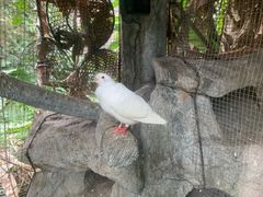 -青青世界