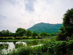 -八卦田遗址公园