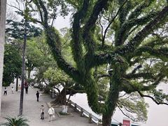 -江心屿景区