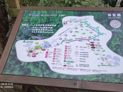 -野象谷景区