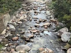 -海南热带雨林国家公园吊罗山景区