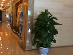 -东方豪景花园酒店·怡景旋转餐厅