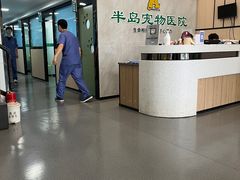 -半岛宠物医院24小时(科华中路店)