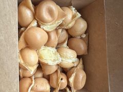 -茶力的小怪兽(中康店)