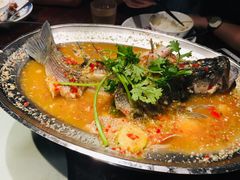 -肥猫(义乌万达店)