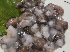 小活章鱼-福匠日本料理(人民路店)