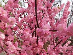 -北运河水利风景区