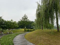 -眉山湿地公园(东坡区)