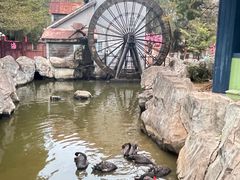 -汕头蓝水星欢乐世界