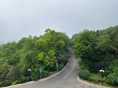 -棒棰岛宾馆景区