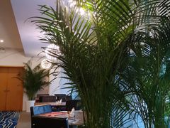 -万德诺富特酒店·自助餐厅(万德大厦店)