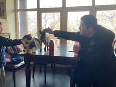 -猫小院猫主题餐厅(南锣旗舰店)
