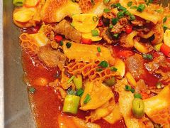 瓦片牛肉烧牛肚-潇湘甲鱼村(清河店)