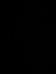 -莫莉幻想儿童乐园(郑州丹尼斯三天地店)