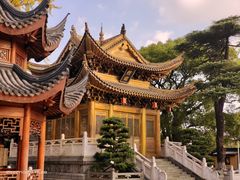 -上海东林寺(金山区)