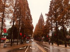 -井冈山革命烈士陵园