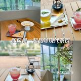 和风景一起品味现代茶饮