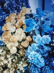 -广州纽伯利公关策划有限公司(邦华环球广场店)