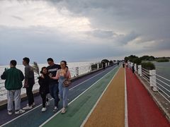 -贡湖湾湿地公园