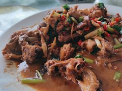 现杀果园鸡—黄焖鸡-生态苑农庄(十里画廊遇龙河店)