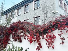 -北京西山国家森林公园