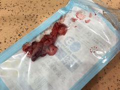 -伟伟宠物医院·CT影像中心·瑞派犬猫综合性门诊(汉口总院)
