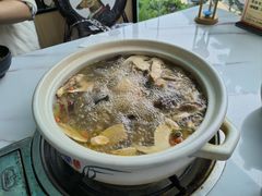 -蘑统田下·野生菌火锅
