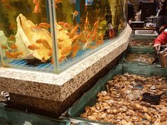 -初色海鲜自助(万丰路店)