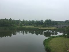 -尚贤河湿地