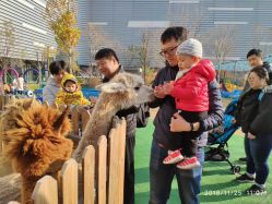 -萌宠亲子动物乐园(槐房万达店)