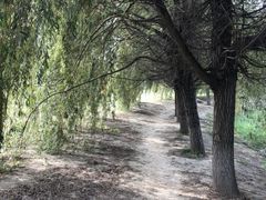 -坝河休闲公园