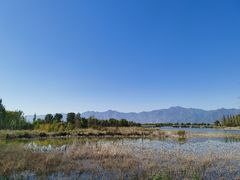 -野鸭湖国家湿地公园
