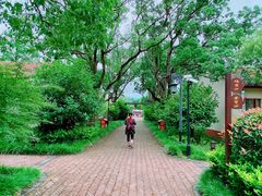 -上海长兴岛郊野公园