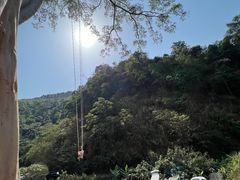 -西双版纳基诺山寨